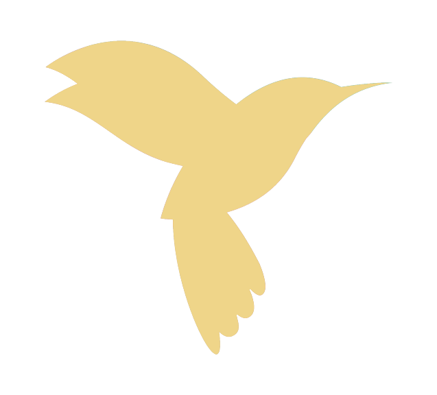 EverUp Bird